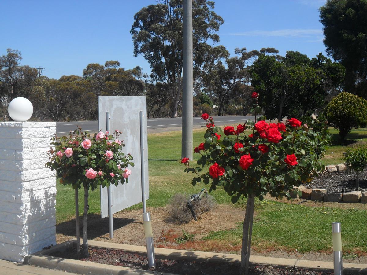 Motel Dimboola Zimmer foto